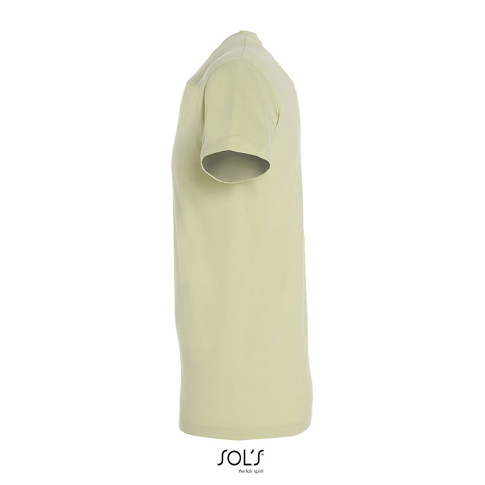 s11380-sg-side
