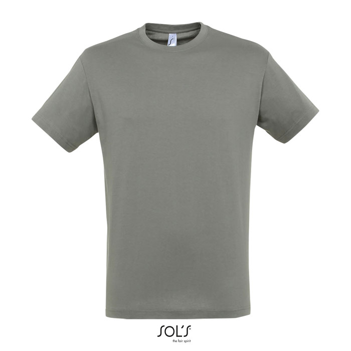 s11380-zi