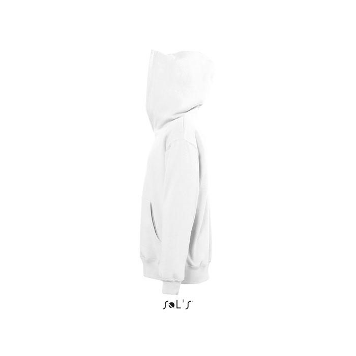 s13255-wh-side