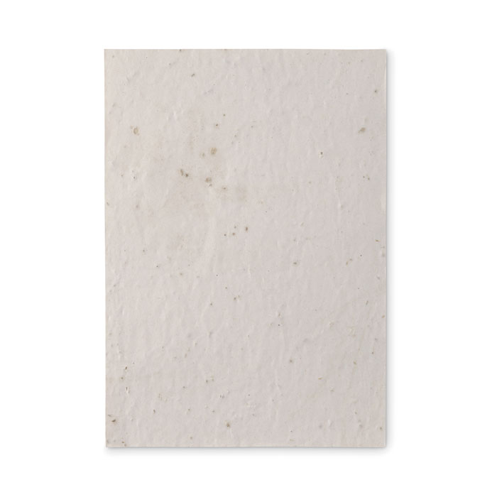mo6915-06-back