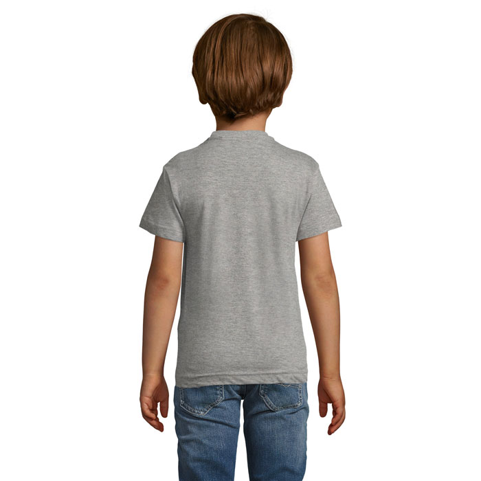 s01183-gm-back