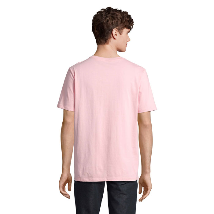 s03981-ax-back