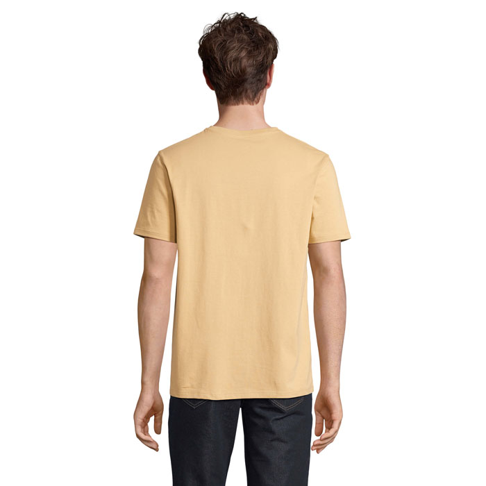 s03981-df-back