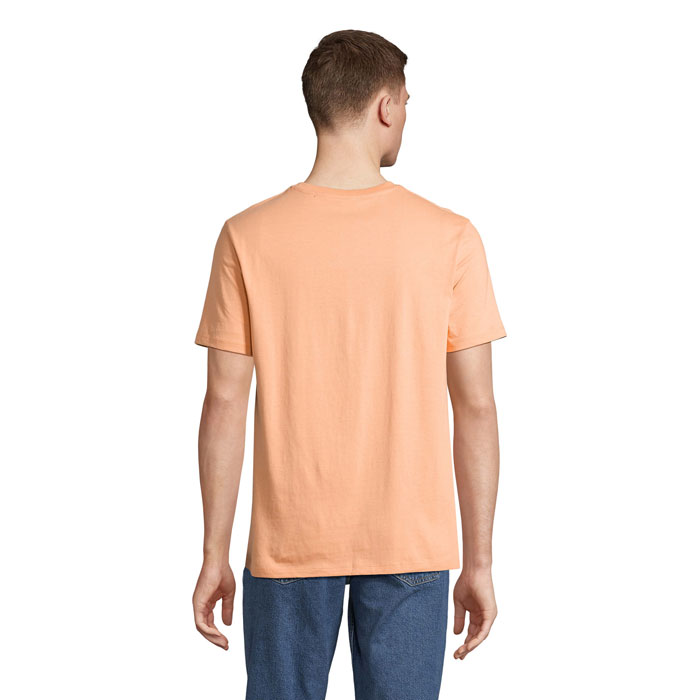 s03981-ph-back