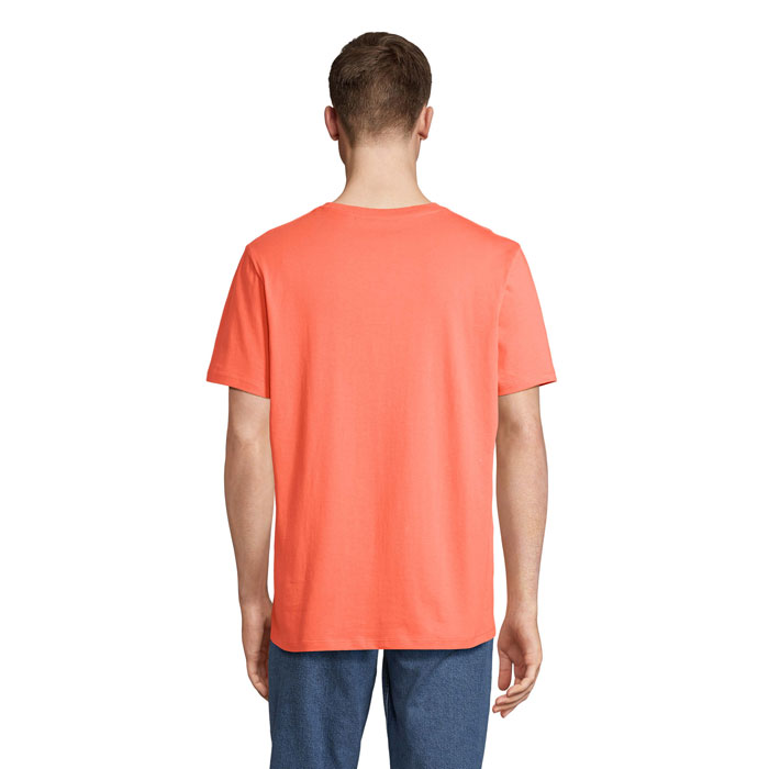 s03981-po-back