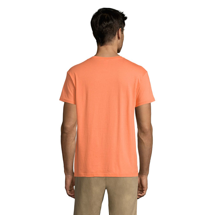 s11380-at-back