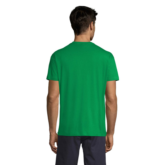 s11380-kg-back