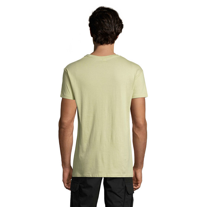 s11380-sg-back