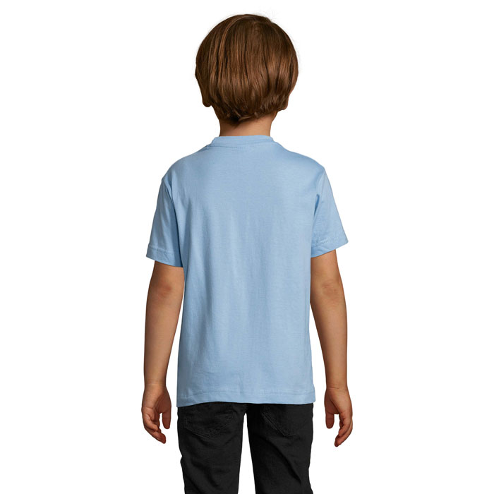 s11770-sk-back